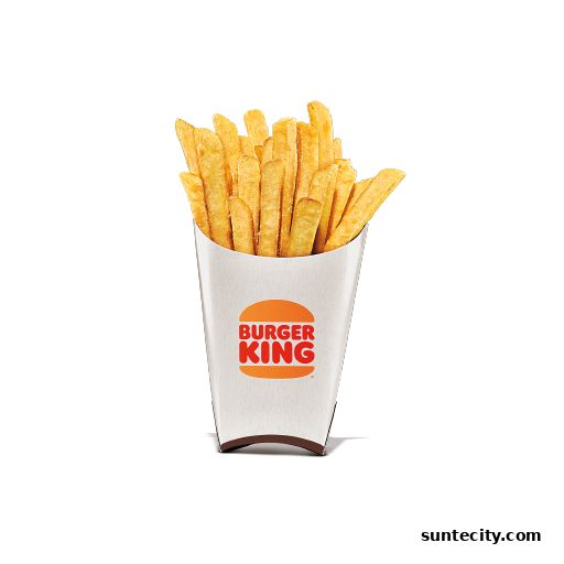 A cup of golden crispy Burger King fries with the restaurant's logo.