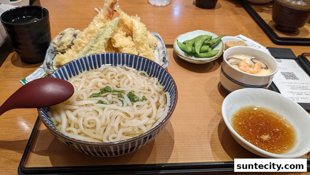 A delicious meal featuring udon noodles, tempura, edamame, and chawanmushi.