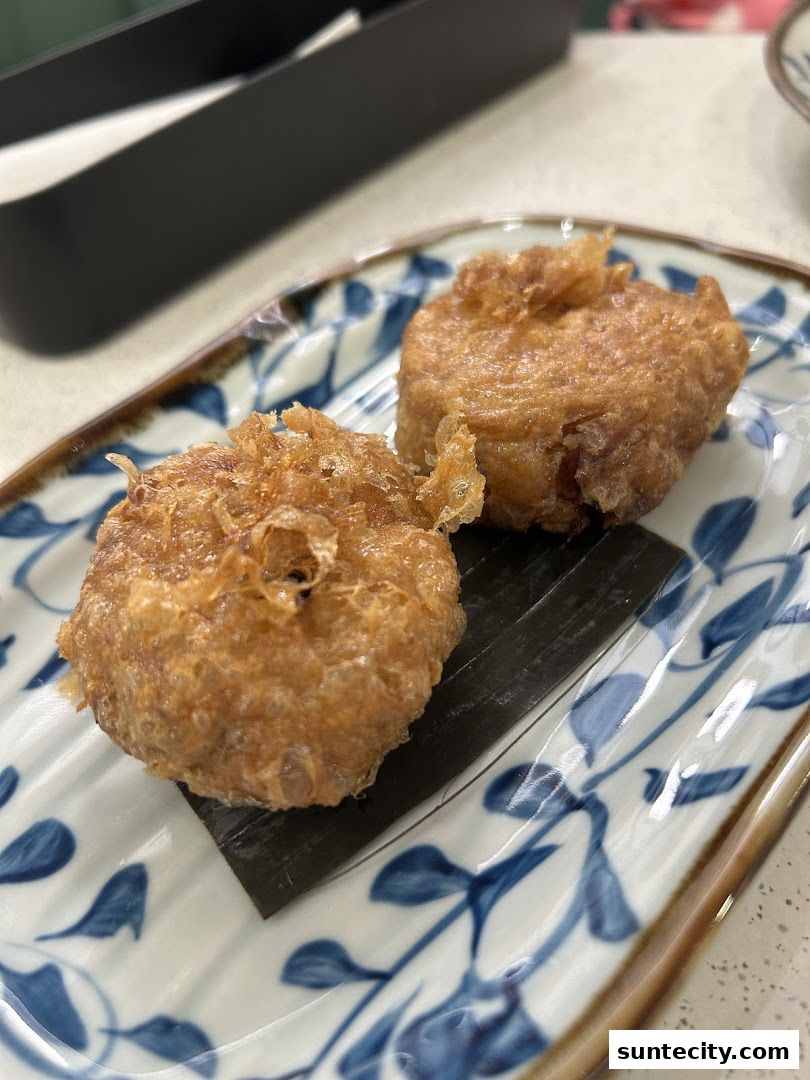 Two golden-brown fried dumplings served on a decorative plate with blue floral patterns.