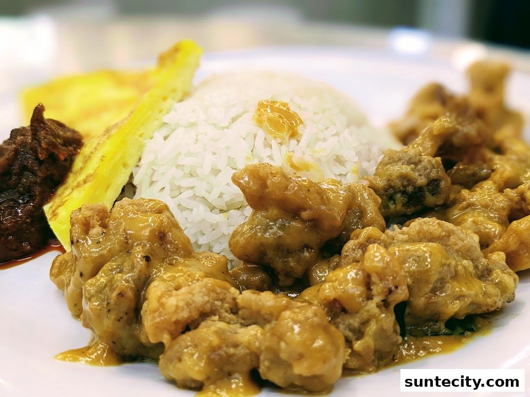 A close-up of a delicious meal featuring rice, fried chicken, and a side of meat.