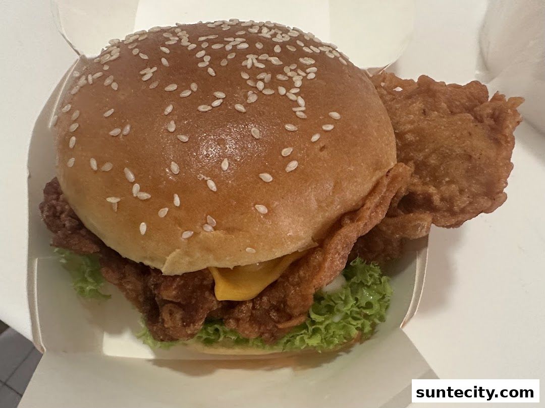 Fried Chicken Master - Suntec City