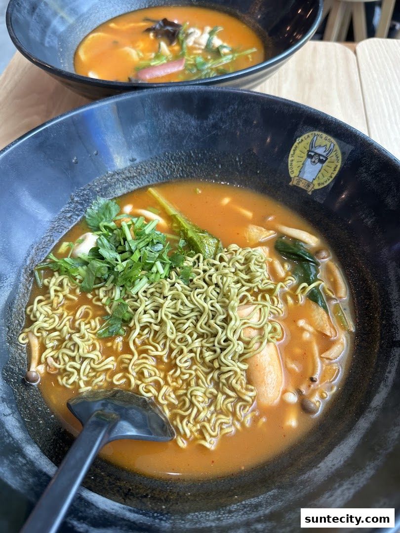 Gong Yuan Ma La Tang 宫源麻辣烫  Suntec City