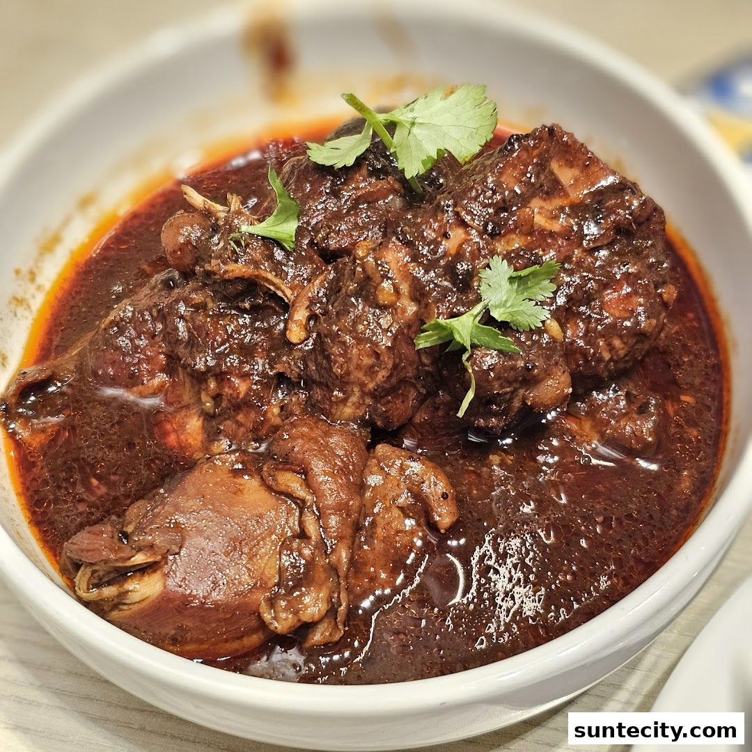 A close-up shot of a bowl filled with tender braised meat in a rich, dark sauce, garnished with cilantro.