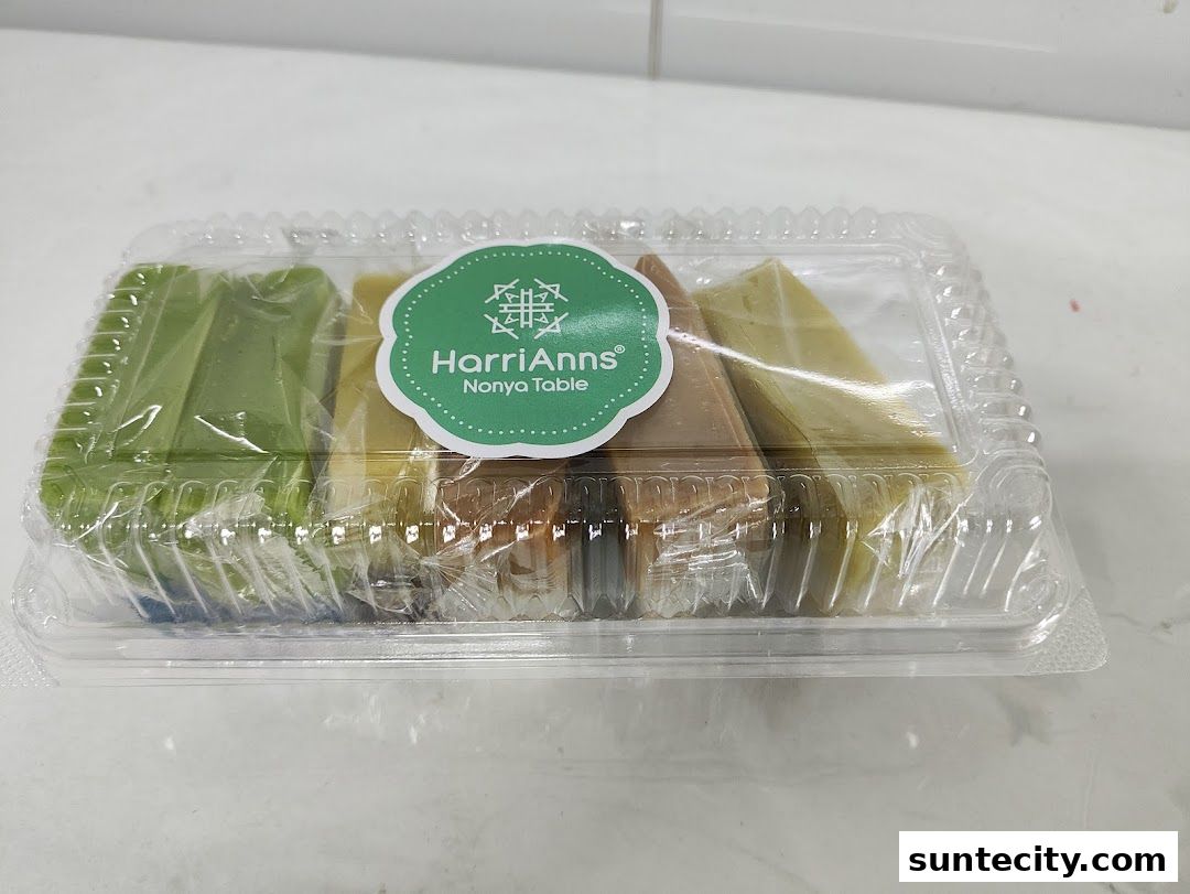 A clear plastic container filled with assorted colorful kueh slices from HarriAnns Nonya Table.