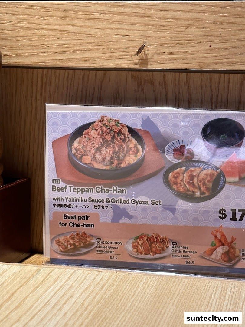 Menu page for Ichikokudo Hokkaido Ramen