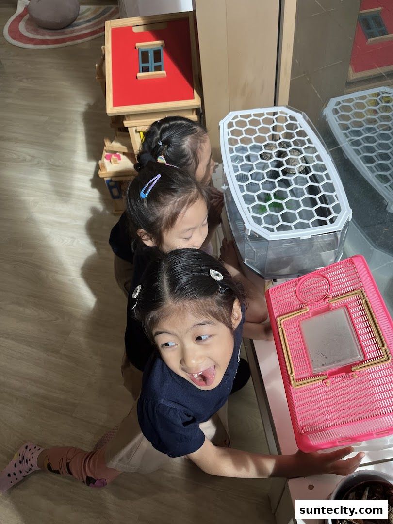 Children curiously observe small animals in clear containers at Josiah Montessori Suntec.
