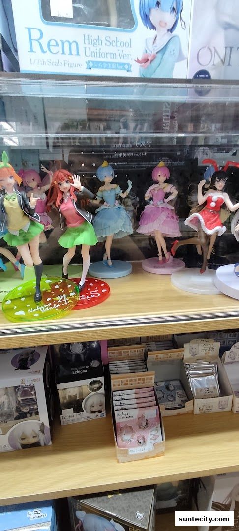 A display of anime figures and merchandise, featuring popular characters like Rem and Echidna.