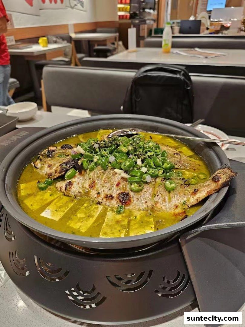 赖美丽藤椒烤鱼Beautiful Lai Grilled Fish  Suntec City