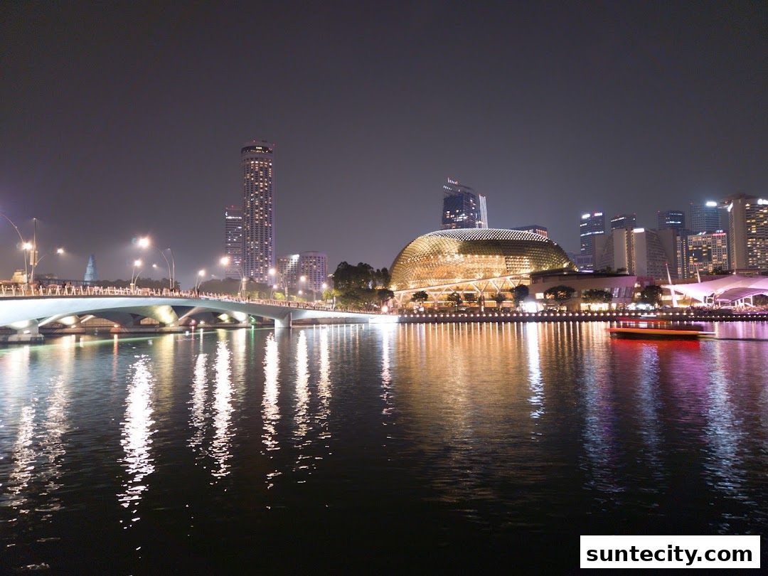 Night view of a city skyline with a bridge and a boat on the water.