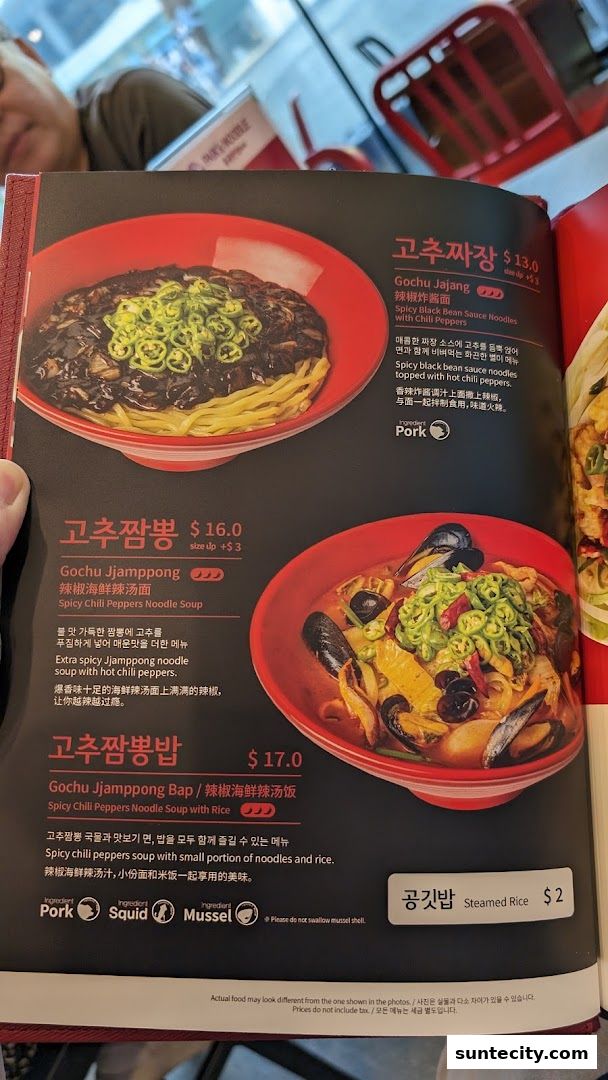 Paiks Noodle  Suntec City
