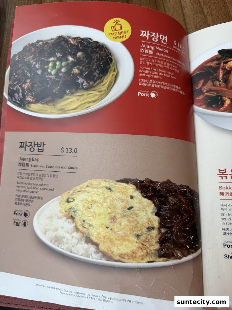 Paiks Noodle  Suntec City
