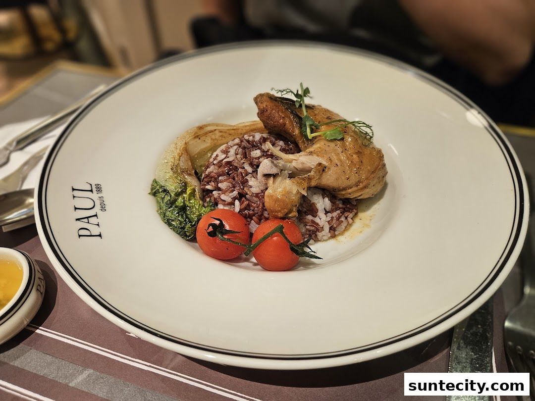 A plate of roasted chicken with rice, cherry tomatoes, and greens, served at PAUL Suntec.