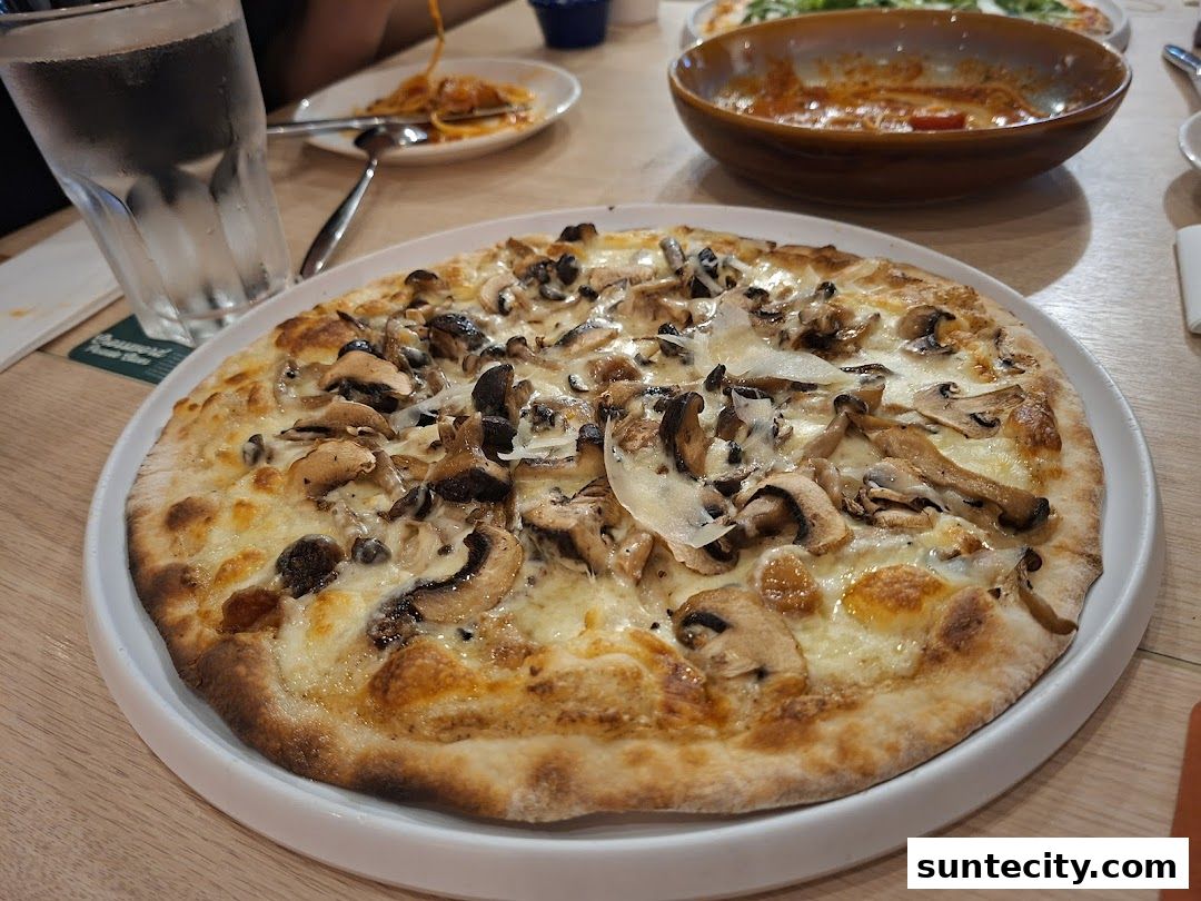 A delicious mushroom pizza is served on a white plate with a glass of water and pasta in the background.