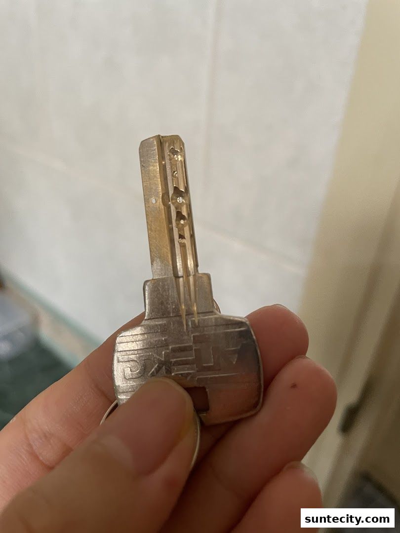 A hand holds a metal key with intricate cuts and the word 'ATEK' engraved on it.