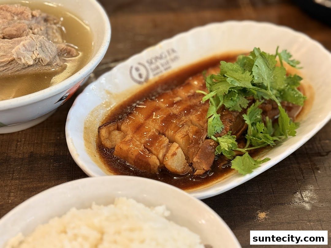 A close-up of delicious braised pork belly and a bowl of bak kut teh soup.