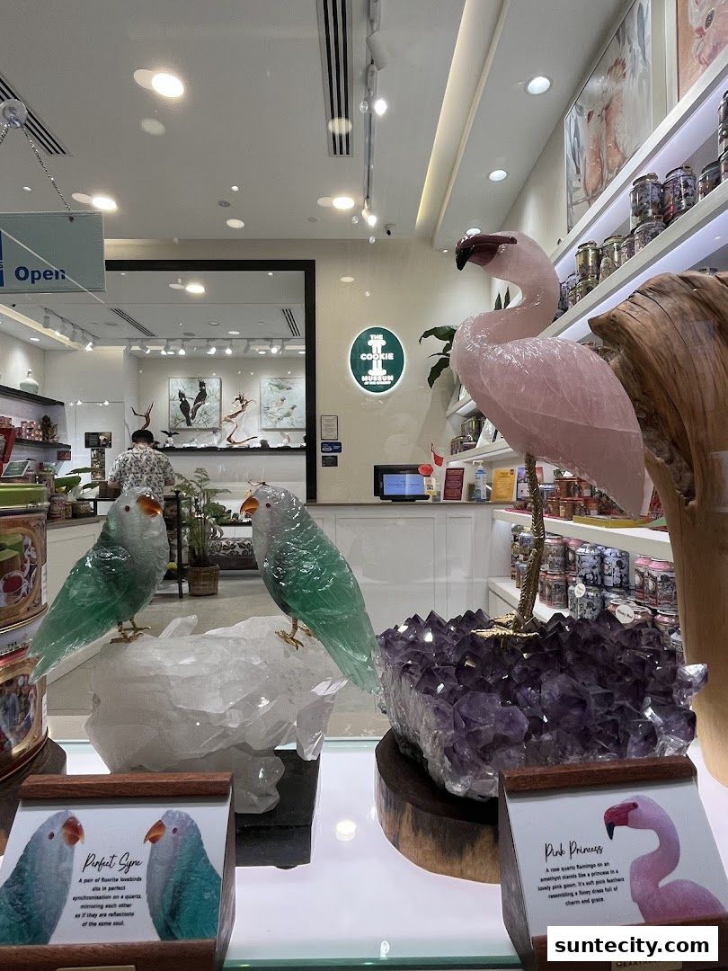 The Cookie Museum at The Gallery