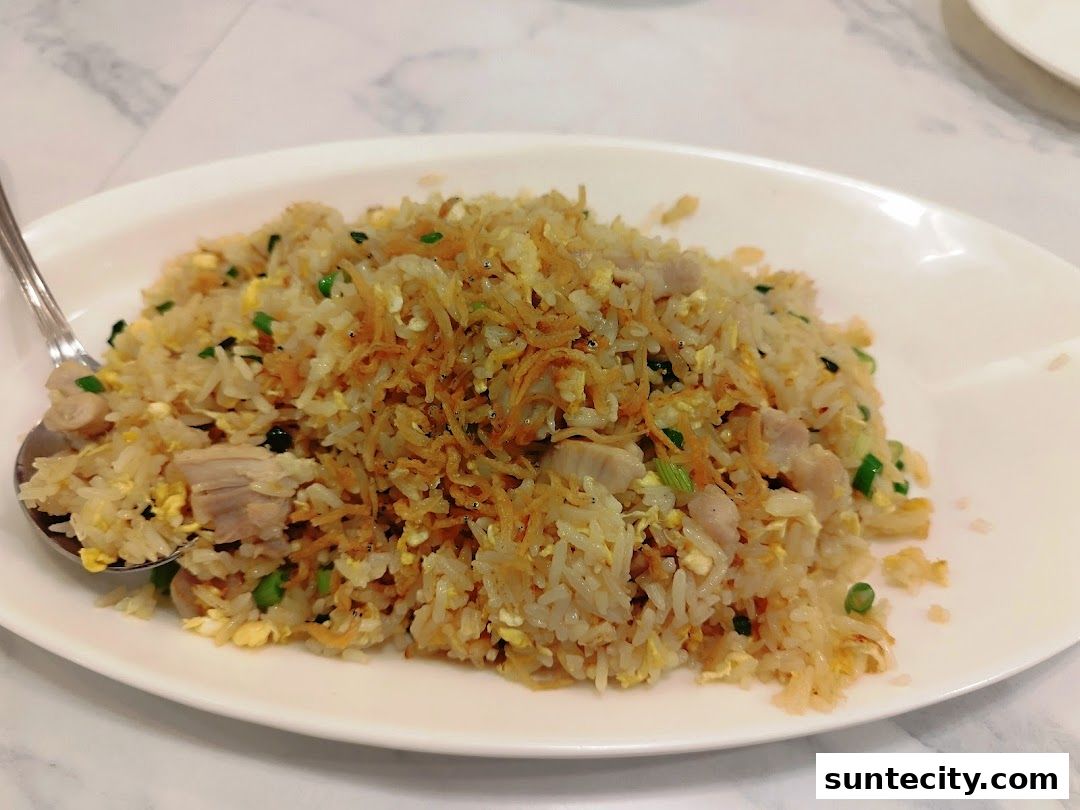 A plate of fried rice with chicken, egg, and crispy toppings, served with a spoon.