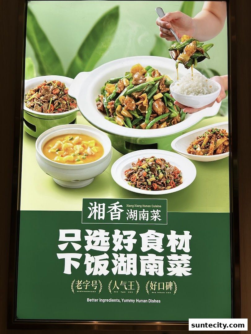 A poster showcasing various delicious Hunan dishes with a hand serving food onto rice.