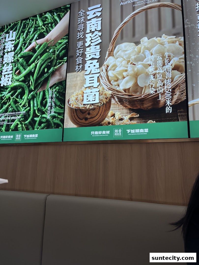Xiang Xiang Hunan Cuisine 湘香湖南菜  Suntec City